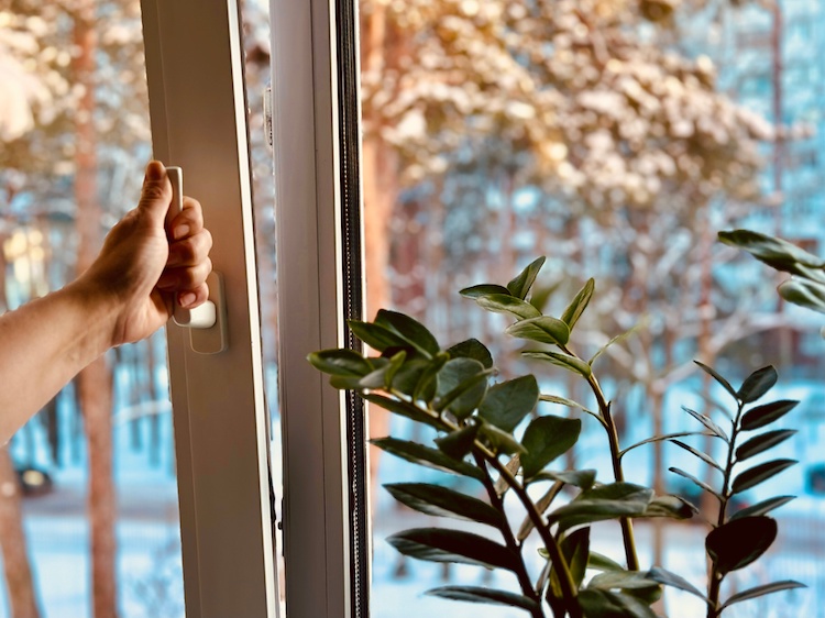 BONUS ZANZARIERE 2024, COME FUNZIONA? QUANTO VALE, REQUISITI E COME FARE DOMANDA