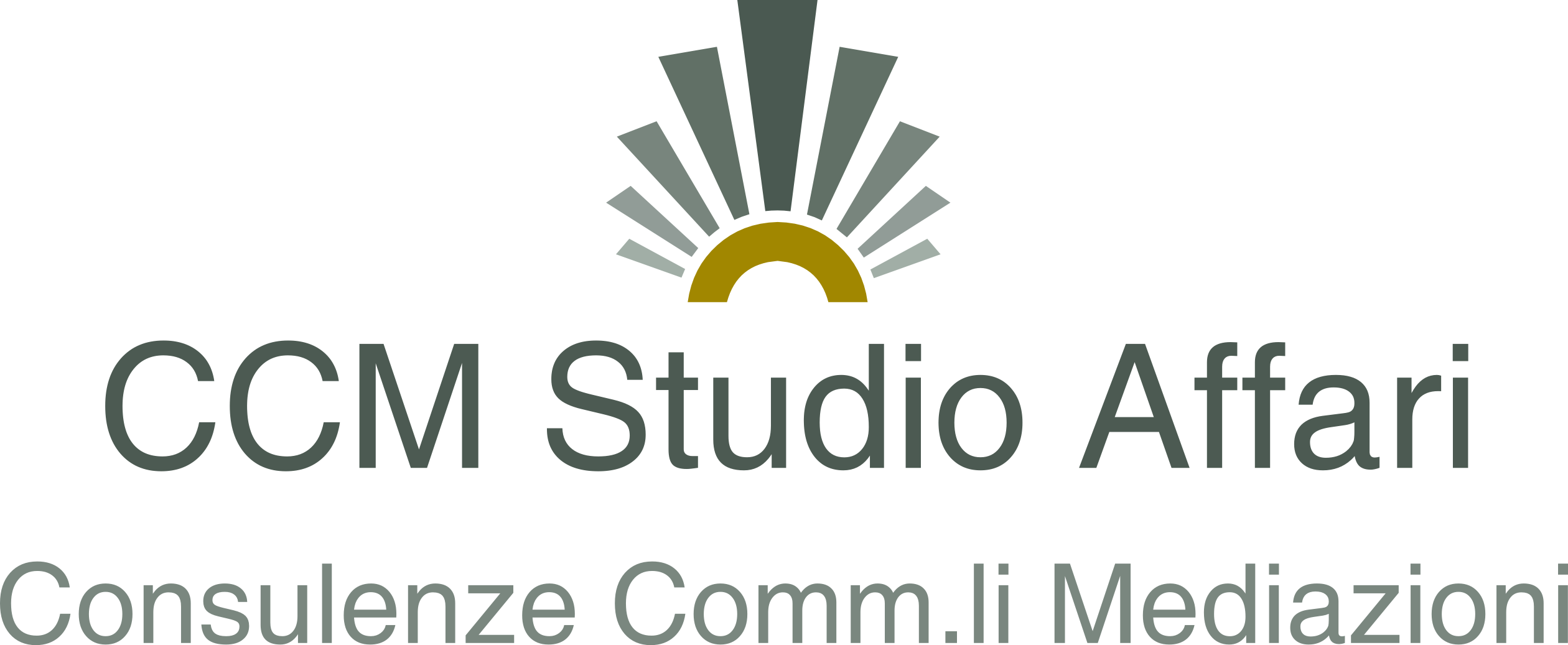 CCM Studio Affari Sas di Sisca Marzia & C.